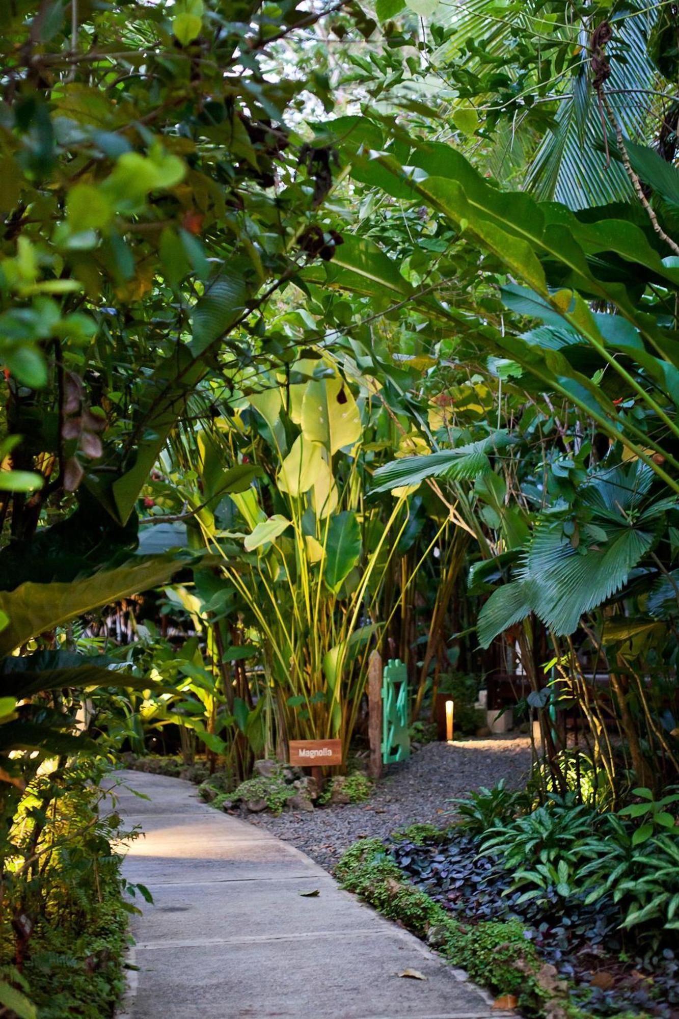 Hotel Aguas Claras Member Of The Cayuga Collection Puerto Viejo de Talamanca Kültér fotó